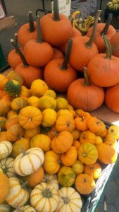 Pumpkins at Unions Sq Green Market, New York. Pumpkins at Unions Sq Green Market, New York.