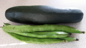 Broad beans and courgette from the veg patch. Broad beans and courgette from the veg patch.